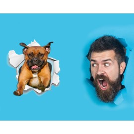 Winston & Bear 3D Dog Stickers - 2 Pack - Super Staffy! Brown Staffordshire Terrier Sticker for Wall, Fridge, Toilet and More - Retail Packaged Staffordshire Terrier