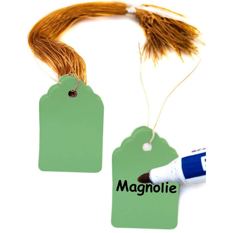HomeTools.eu® 100 Plant Tags with String, Weatherproof, Plastic, 3.5 x