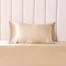 THXSILK 100% Silk Pillowcase for Hair and Skin Luxury 25 Momme Mulberry Silk, Hypoallergenic Pillow Cases with Hidden Zipper (Queen, Champagne)