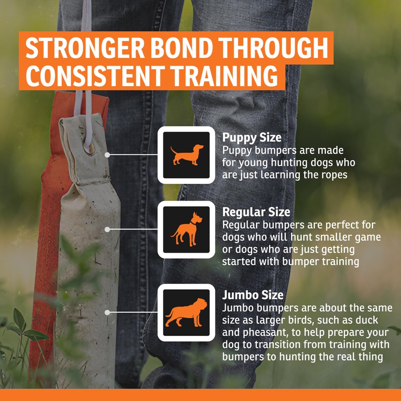 SportDOG Canvas Dummies - Hunting Dog Training Tool - Game