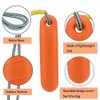 2 Pack Floating Dog Toys for Water Fetch, 8.66in Interactive