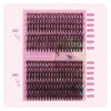 ANNAFRIS Cluster Lashes 30D+40D Individual Eyelashes 280Pcs False Lashes Individual