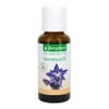 Bergland Borretsch-Öl, 1er Pack (1 x 30 ml)