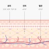 LifeEroom Partner egf ampoule easyf freckle niacinamide whitening wrinkle peptide