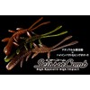 JACKALL Worm Scissor Comb 3.8 Inch Kasumi Shirauo Lure