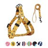 QQPETS Dog Harness Leash Set, Adjustable Heavy Duty No Pull