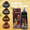 Shampoo Tinte Cubre Canas Natural Jengibre 500ml Piezas