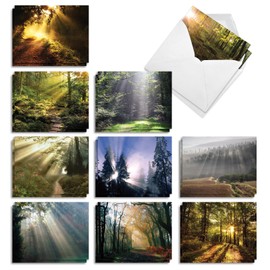 The Best Card Company Shining Through - 20 Assorted Boxed Sympathy Thank You Note Cards with Envelopes (4 x 5.12 Inch) - With Breathtaking Sunlit Landscapes AM1735STG-B2x10