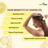 Lemon Oil Essential Oil/Cold Pressed, Natural, Undiluted Oil Large 4