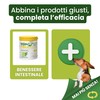 Trebifarma Diurecor Forte Cani e Gatti, Supporto Intensivo di Reni