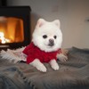 TONY HOBY Knitted Sweater, Warm Pet Clothes for Small Medium