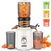 Ganiza Juicer Machines, Cold Press Juicer with 4.3" Large Feed