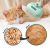 Cat & Dog Steam Brush - 3 in 1 Self