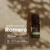 PACALLI Aceite Esencial de Romero 100% Puro 10ml - Aromaterapia