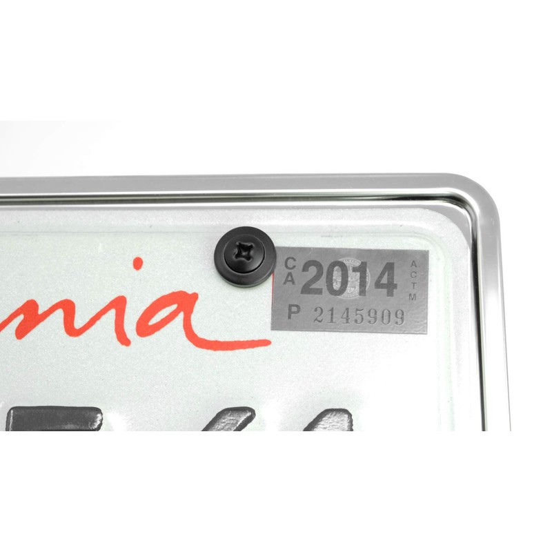 LFPartS Stainless Steel Rust Resistant License Plate Frame Self Tapping