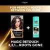 L'Oreal Paris Preference Hair Dye, Long Lasting, Luminous Permanent Hair