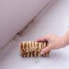 アズマ たわし 角までコケ無いたわしロング 幅:約5cm 全長:約14cm コケ・汚れ落としに。 AZ728