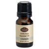 Fabulous Frannie Cumin 100% Pure, Undiluted Essential Oil 10ml (Pack