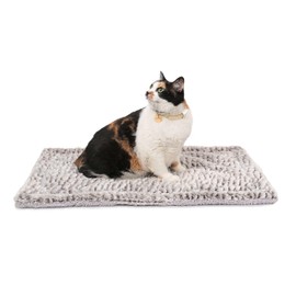 Self Heating Cat Pad Self Warming Bed 27.5" x 18.5" Thermal Cat Mat Extra Warm Pet Mat for Outdoor and Indoor Large Kittens Small Puppy Pets