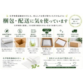 [Powered by Mitsuya-factory Since 1952] Kuraray KeyMate Mask PD-200, Activated Carbon Filter, Odor Resistant Mask, Pack of 20, 96 x 172mm, BFE98.2%, High Performance Filter, Work Mask