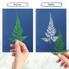 38 Sheets Cyanotype Sun Print Kit With 2 Clear Acrylic