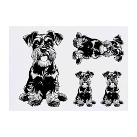 4 x 'Mini Schnauzer Sitting ' Temporary Tattoos - Water Resistant, Skin-Safe, Non-Toxic Transfers, Mixed Sizes (TO00081688)