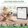 F1 Air Purifier Replacement Filter: HEPA H13 True Filter for