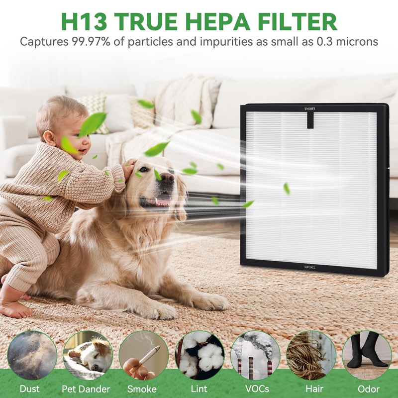 F1 Air Purifier Replacement Filter: HEPA H13 True Filter for