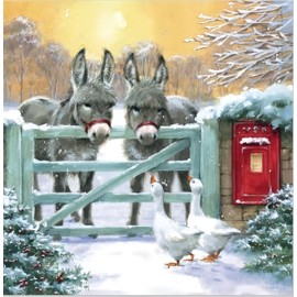 Noel Tatt Charity Christmas Cards Pack of 10 - Charity Christmas Cards with Artistic Geese and Donkeys Design - Eco-Friendly Xmas Cards Multipack with Envelopes