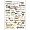 Earth Sky + Water - Freshwater Fishes of the Northeast
