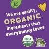 Annie's Organic Honey Graham Crackers, Easter Treats, With Whole Grain,