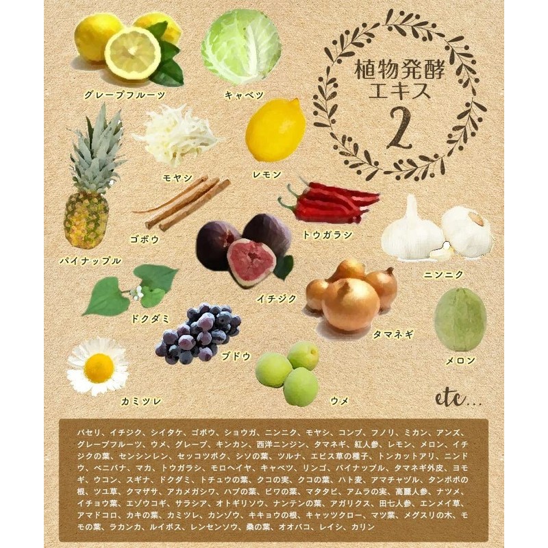 インフィニティー 生酵素 大容量100日分