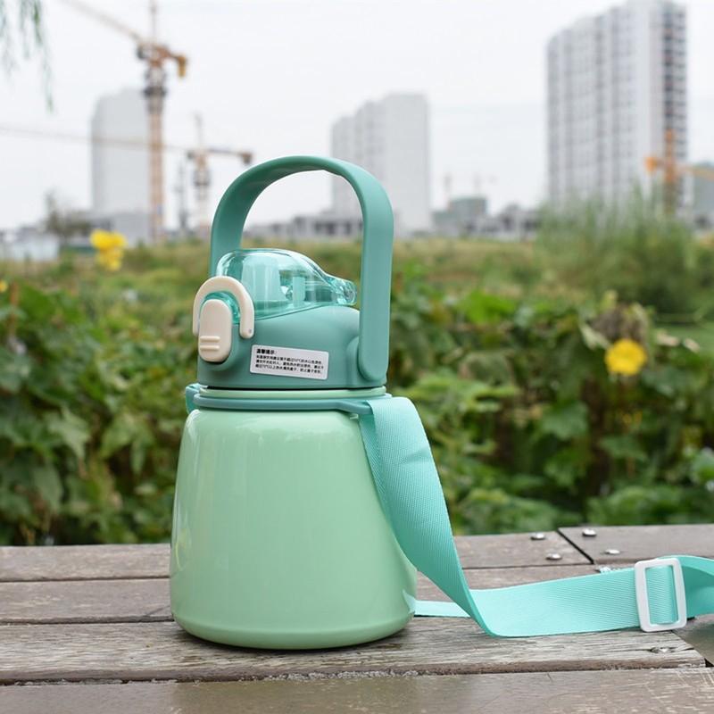 Insulated Water Bottle 650ML 304 Stainless Steel Straw Bottle for