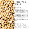 Kobe Spice, Yellow Mustard Seeds, Made in India, 3.5 oz