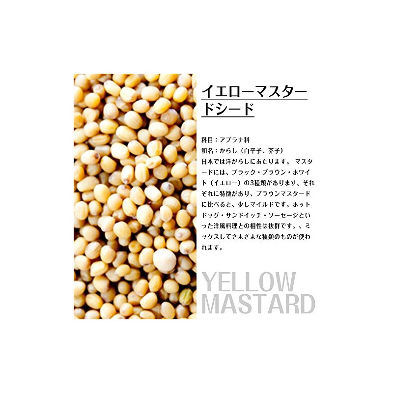 Kobe Spice, Yellow Mustard Seeds, Made in India, 3.5 oz