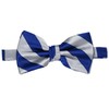 tiemart Striped Bow Tie (Royal Blue and Silver)