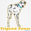 CafePress Tripawd Power Three Legged Great Dane Dog T Shirt