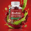MindEase – Natural Relaxation Gummies for Adults | Pistachio Extract,