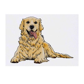 'Golden Retriever' Temporary Tattoo - Water Resistant, Skin-Safe, Non-Toxic Transfer (TO00039968)