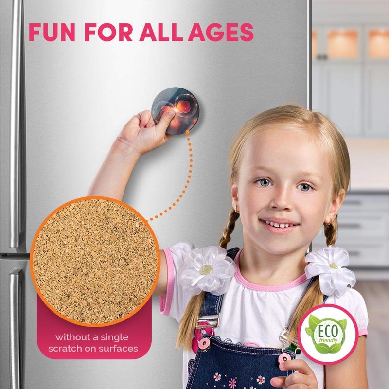 Round MDF Magnets - Cell Division Biology Science 44548