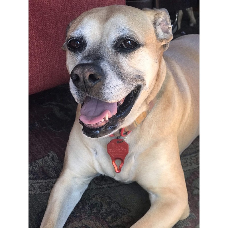 The Tick Patrol Tick Remover Tool for People & Pets,