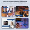 Smart Scene Wall Switch Panel with Voice Control and 4