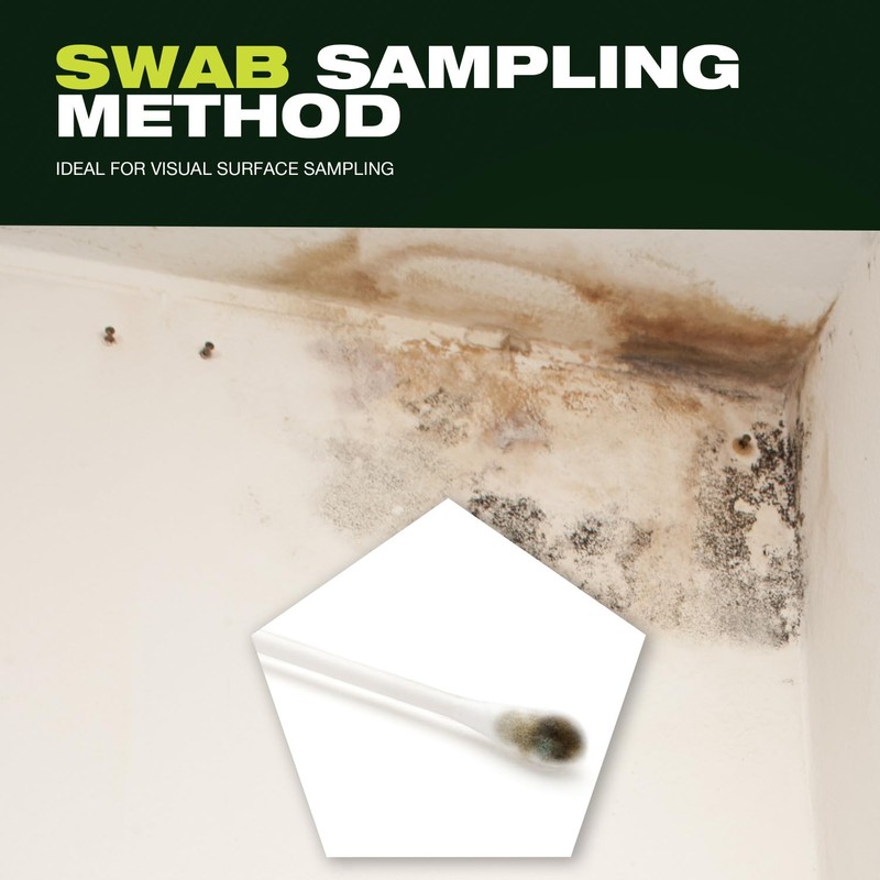 My House Test - DIY Mold Test Kit for Home