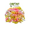 Artificial Pop Up Flavour Infused Mixed Colour PINKIE Maggots for