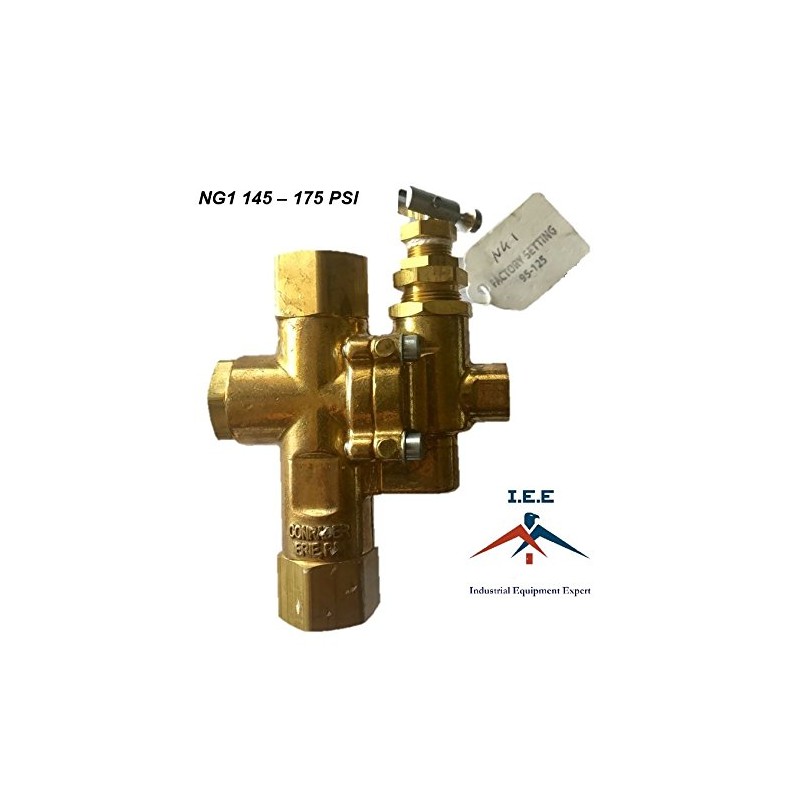 IEE NG1 1/2" x 1/2" NPT GAS AIR COMPRESSOR UNLOADER