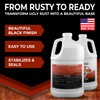 Rust Converter PRO by Birchwood Technologies – Thick Concentrate for