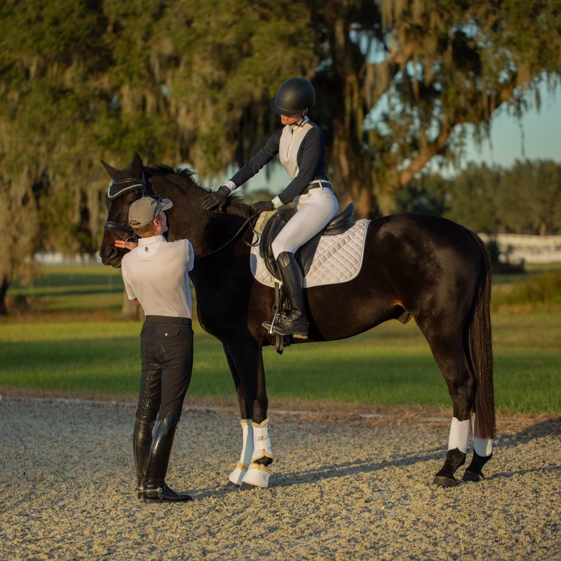 Equinavia Erik Mens Full Seat Breeches - Black - 28