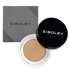 Concealer Men's Ochre (Bear, Acne Marks, Blue Beard, Blue Beard, Partial Foundation, Cream, Made in Japan, Beige) [SIBOLEY]