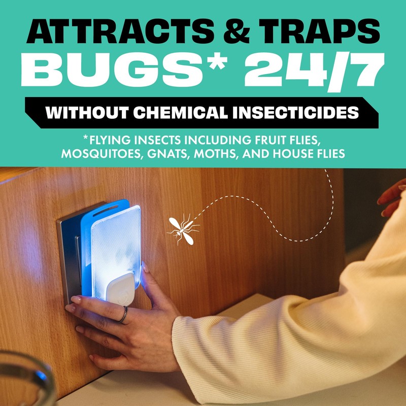 STEM Insect Trap - Indoor Fruit Fly & Gnat Pest