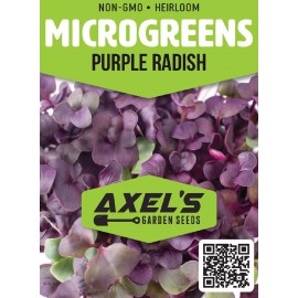 Axel's Garden Seeds Purple Radish MICROGREEN Seeds | Non-GMO | Heirloom | Seeds for Sprouting - 25 Seeds